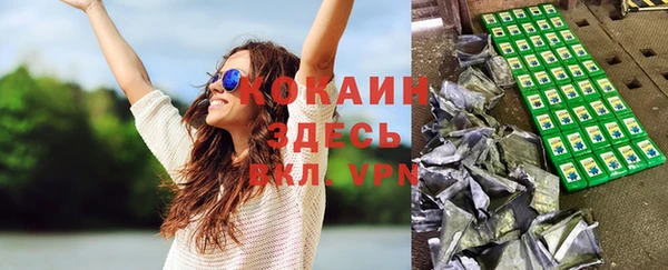 хмурый Алзамай