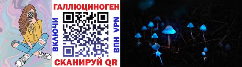 OMG сайт Плавск Псилоцибиновые грибы Psilocybe